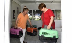 Kuşadası Belediyesi Patili Dostların Her Zaman Yanında