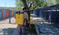 Kuşadası Evcil Hayvan Bakım ve Rehabilitasyon Merkezi'nde Kene İçin Erken Çözüm Hamlesi