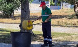 Efeler'in Yeşil Alanlarında Yaz Temizliği