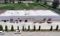 Tarımsal Ürün Fabrikası ile Kadınlar Üretiyor, Efeler Kazanıyor