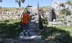 Kuşadası Belediyesi'nden Yeşil Dokuya Titiz Dokunuş