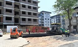 Kazım Dirik ve Erzene'de Yol, Kaldırım ve Peyzaj Seferberliği