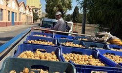 Başkan Zencirci İncir Üreticilerini Unutmadı