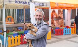 Patilerin Festivali 7'nci Kez İzmirlilerle Buluşuyor