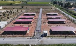 Efeler'in Can Dostları Projesi Açılış İçin Gün Sayıyor