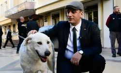 Başkan Eşki'den Hayvanseverlere: "İçiniz Çok Rahat Olsun"