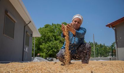 Ata Ekmeği ve Armola Şenliği Ulamış'ta Binleri Ağırladı