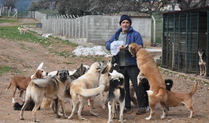 'Gözyaşı Çiftliği' Can Dostlara Yuva Oldu