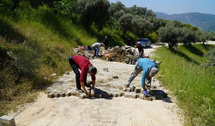 Efes Selçuk'ta Üreticiler İmeceyle Yollarına Kavuştu