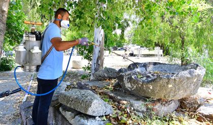 İzmir'de Sivrisineklere Karşı Etkin Mücadele