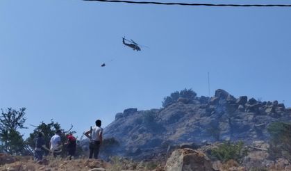 Bodrum'da Alevler 20 Dönüm Makiliği Küle Çevirdi