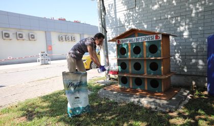 Bayraklı'da Can Dostlar İçin 'Bir Kap Su' Kampanyası