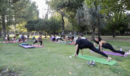 Buca 'Hareket'e Geçti