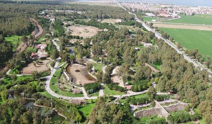 İzmir Doğal Yaşam Parkı Yeni Yıla Yenilenerek Giriyor