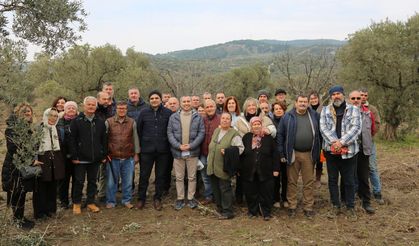 Toprak Okulu'ndaki Zeytin Budama Eğitimine Yoğun İlgi