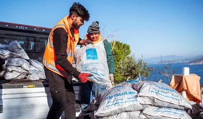 Kuşadası Belediyesi'nin Yakacak Yardımı Başladı