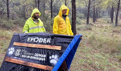 Buca'da Atık Malzemeler Can Dostlar İçin Yuvaya Dönüşüyor