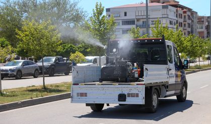 Buca'da Haşere ve Zararlılara Karşı İlaçlama Seferberliği