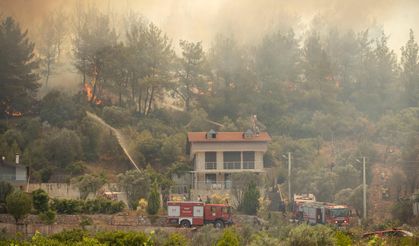 İzmir'de Çıkan 9 Orman Yangınından 8'i İnsan Kaynaklı
