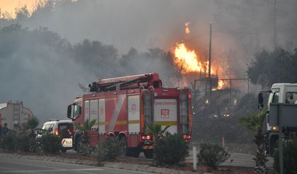 İzmir'in Ateşle İmtihanı: Orman Yangınları Sürüyor