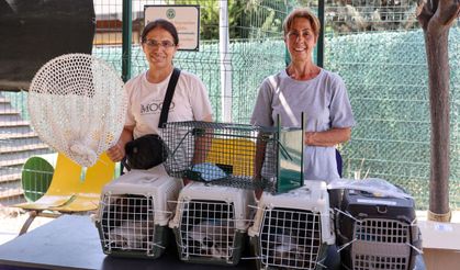 Buca'da 212 Patili Dost Daha Yeni Ailesine Kavuştu