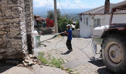 Bozdoğan'da Haşereye Karşı Kireçleme Çalışmaları Sürüyor