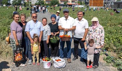 Toprağa Dokunan Kadınlar, Bornova'da Geleceği Yeşertiyor