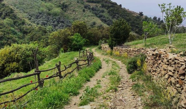 Efeler Yolu 'En İyi 100 Hikaye' Listesinde