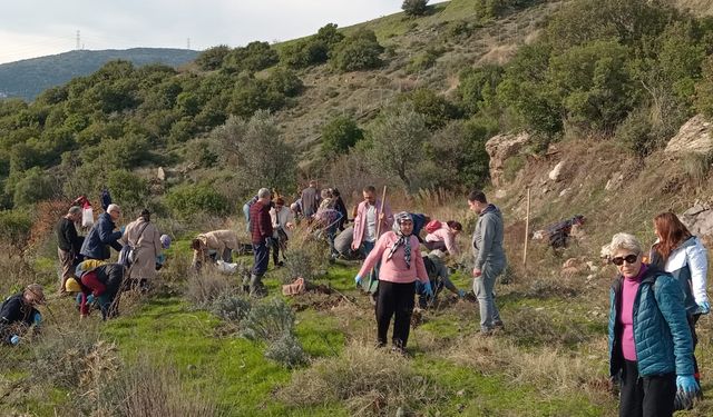 Bornova'da Arıcılara Lavanta Desteği