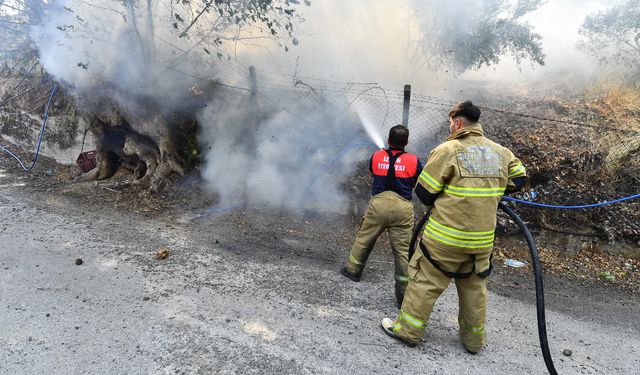 İzmir'in 4 Günlük Yangın Raporu: 249 Yangına Müdahale