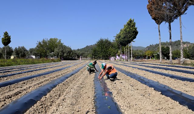 Adabahçe Bu Kış da Sofralara Lezzet ve Bereket Katacak