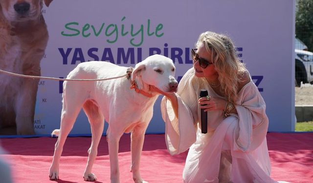 Çeşmeliler Pati Park'ta Can Dostlarla Buluştu