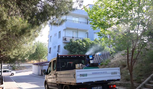 Karabağlar'da Haşerelere Karşı İlaçlama Seferberliği