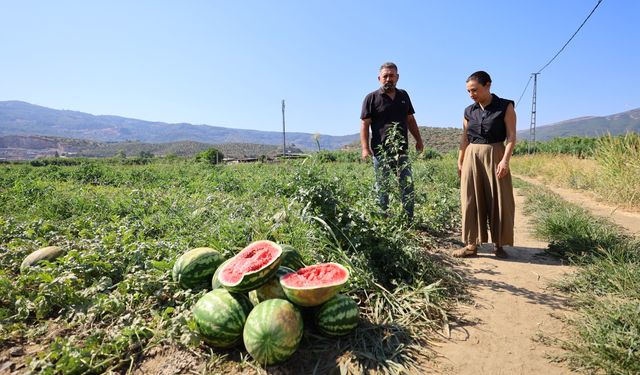 Başkan Sengel'den Karpuz Üreticisine Destek Eli