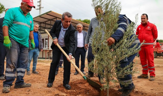 Başkan Yetişkin'den Efeler'e Yeşil Dokunuş