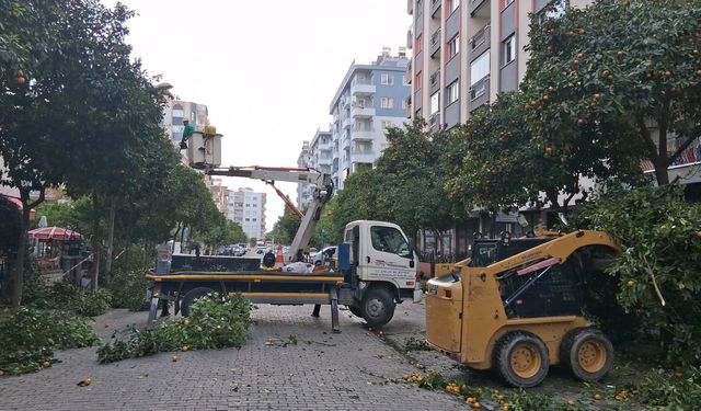 Efeler'in Ekipleri Daha Yeşil Bir Kent İçin Çalışıyor