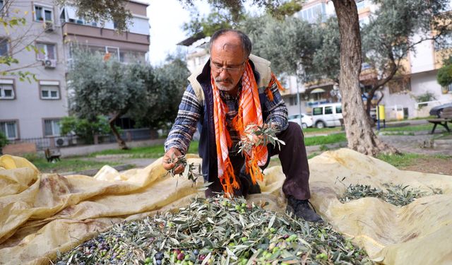 Buca'da Dayanışma İçin Hasat Zamanı