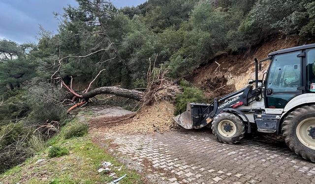Efeler'de Yağış Sonrası Yollara Hızlı Müdahale