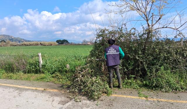 Başkan Yetişkin ile Efeler'in Yeşil Alanları Tertemiz