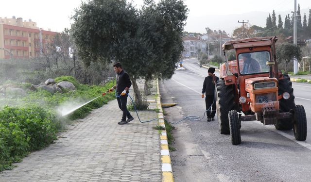 Bozdoğan'da Yabani Otlarla Mücadele Başladı