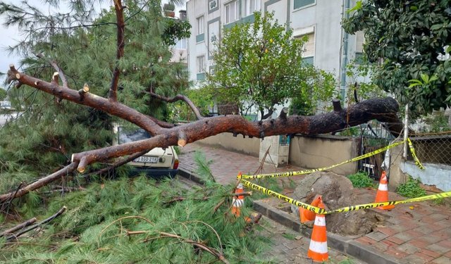 Efeler'de Sağanak Yağışın İzleri Siliniyor
