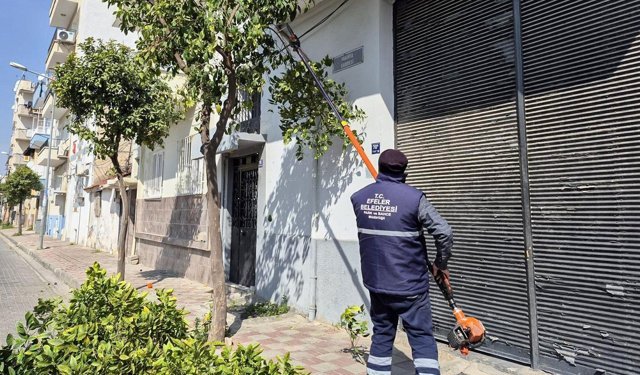 Efeler'in Tarihi Mirası Başkan Yetişkin ile Korunuyor