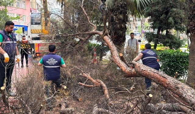 Efeler'de Parklar Daha Güvenli Hale Geliyor
