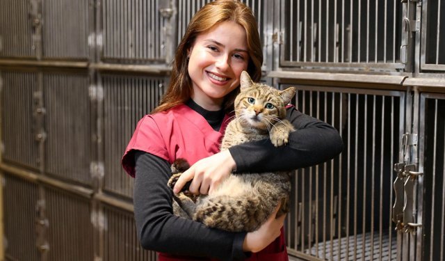 Buca'da 599 Patili Dost Sıcak Yuvaya Kavuştu