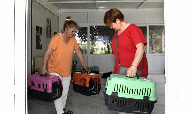 Kuşadası Belediyesi Patili Dostların Her Zaman Yanında