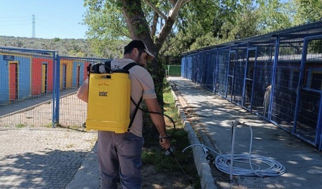 Kuşadası Evcil Hayvan Bakım ve Rehabilitasyon Merkezi'nde Kene İçin Erken Çözüm Hamlesi