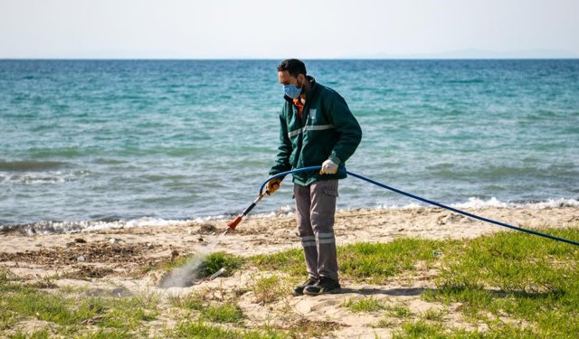 Güzelçamlı'dan Kuştur'a Kıyı Şeridinde Yoğun Mesai