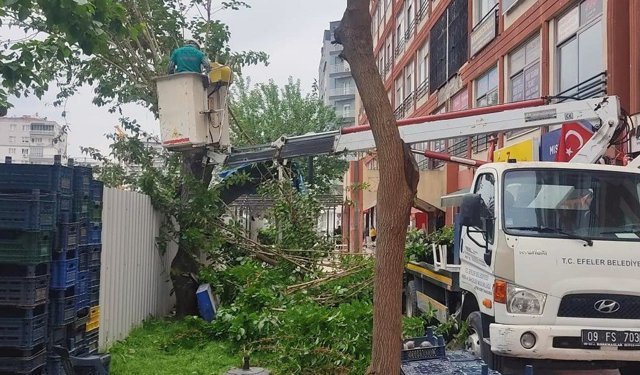 Efeler'de Yeşil Alanlara Nefes Aldıran Kapsamlı Bakım Çalışmaları Sürüyor