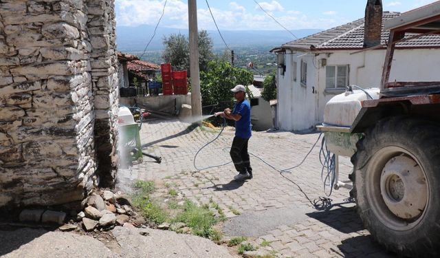 Bozdoğan'da Haşereye Karşı Kireçleme Çalışmaları Sürüyor