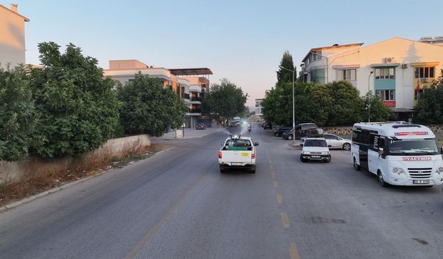 Efeler'de İlaçlama Mesaisi Hız Kesmiyor